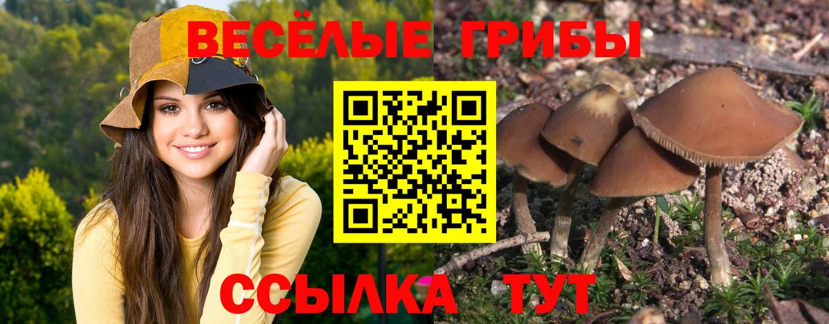 Галлюциногенные грибы мухоморы Старая Русса