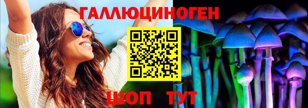Псилоцибиновые грибы Psilocybe  купить наркотик  Старая Русса  Вход с VPN 